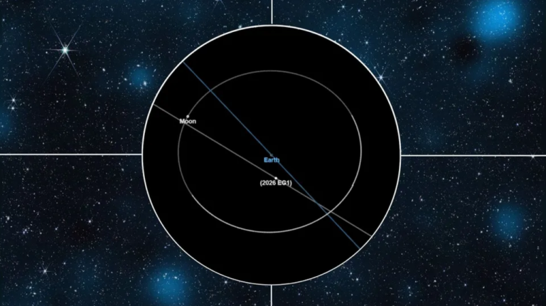 “Asteroide recém-descoberto passa raspando pela Terra sem causar danos”