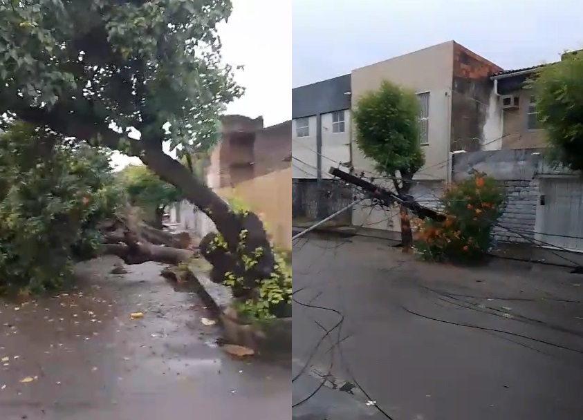 Tempestade derruba árvores e provoca apagão em Fortaleza